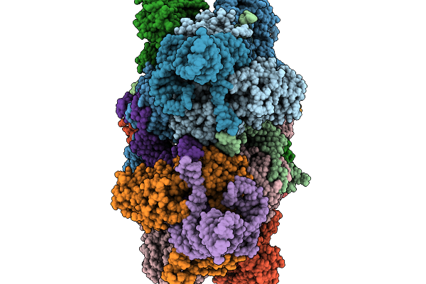 9X9B image