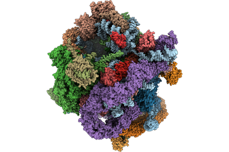 9XA8 image