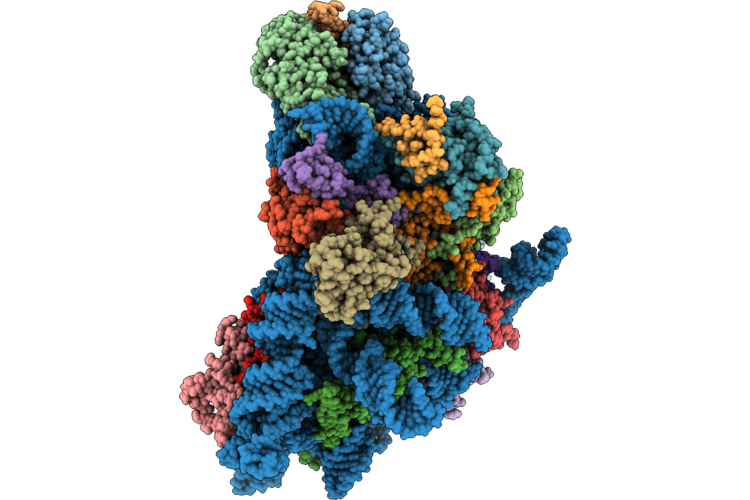 9XAA image