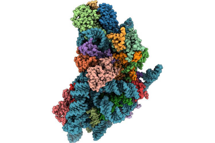 9XAB image