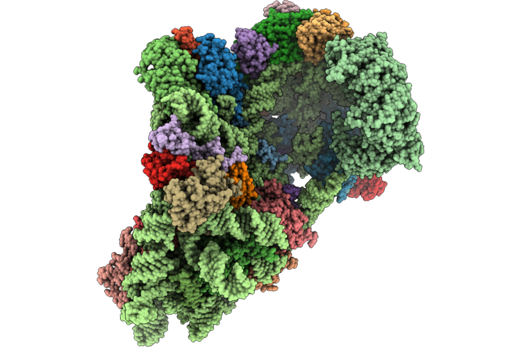 9XAC image