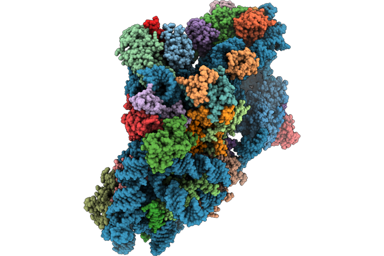 9XAE image