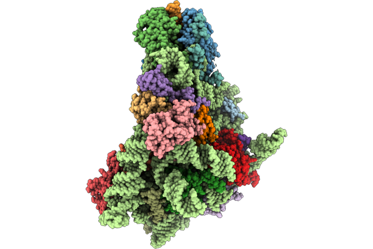 9XAI image