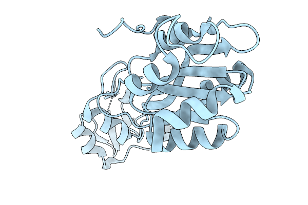 9XB4 image