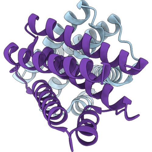 9XBC image