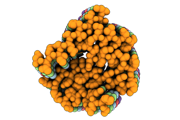 9XBP image