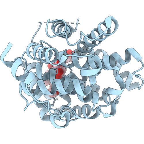 9XC4 image