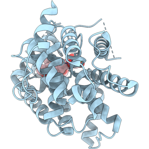 9XC5 image