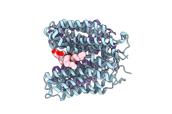 9XCA image