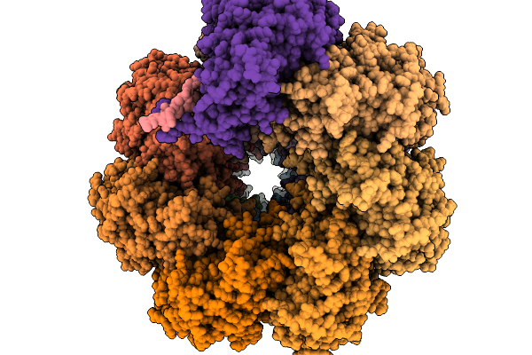 9XCG image