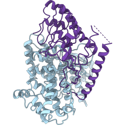 9XCH image