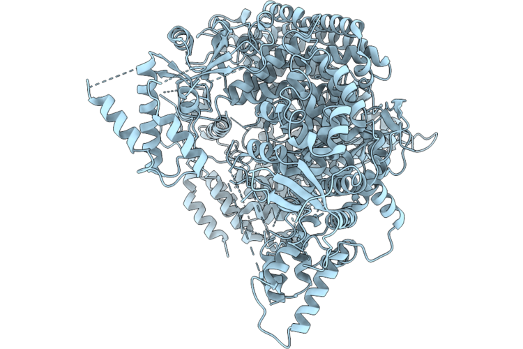 9XD4 image