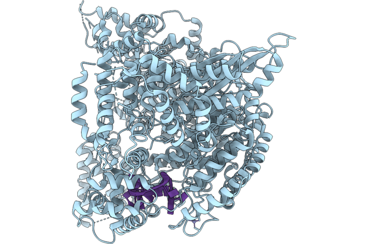 9XD5 image