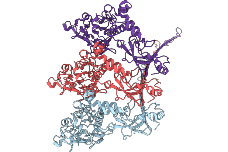 9XDB image