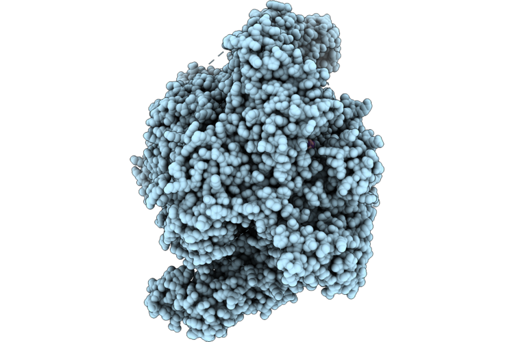 9XEC image