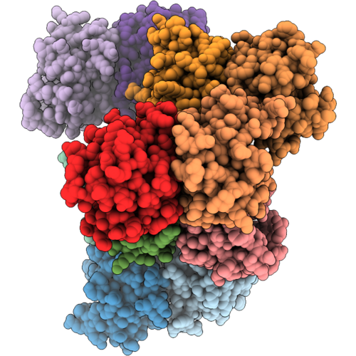 9XEJ image