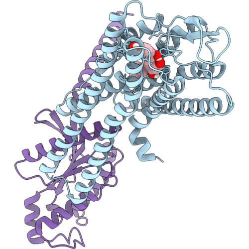 9XFJ image