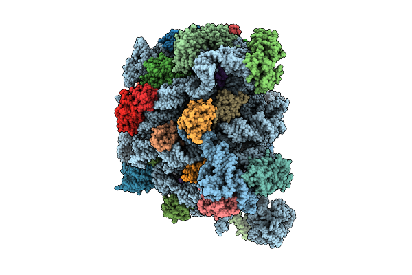 9XFK image