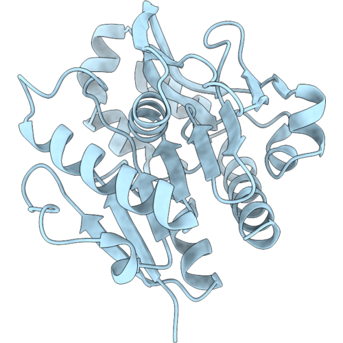 9XFS image