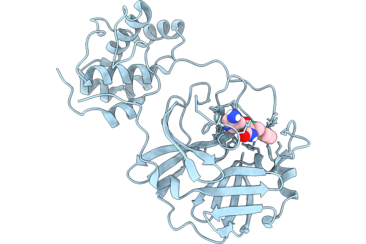 9XG4 image