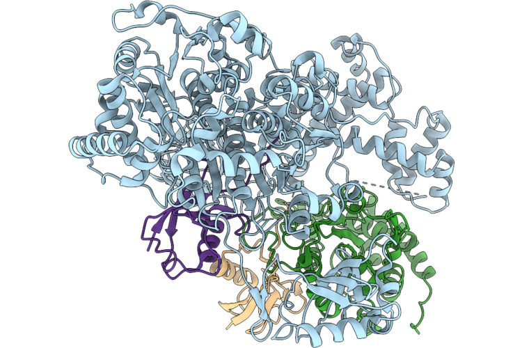 9XGC image
