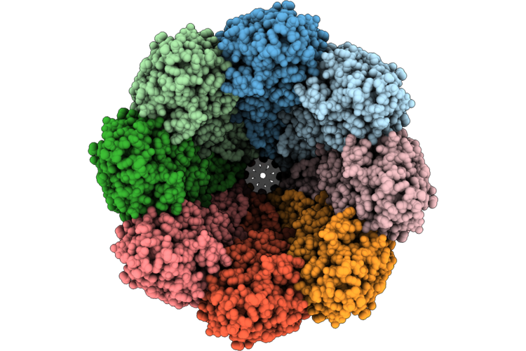 9XGV image