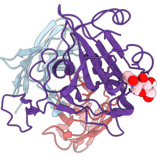 9XGX image