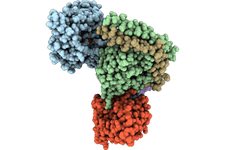9XH2 image