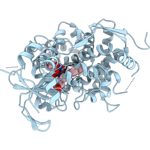 9XHP image