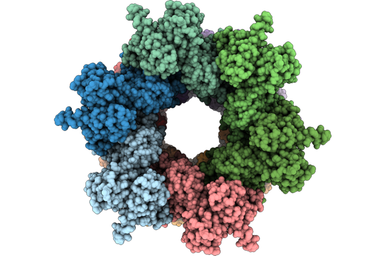 9XIP image