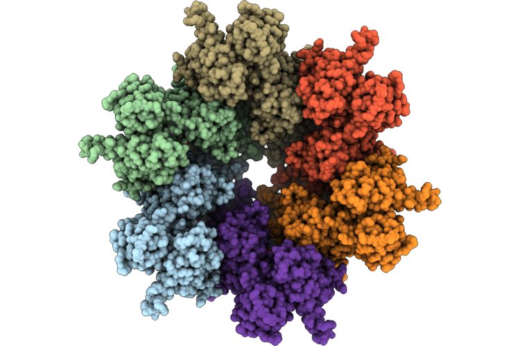 9XIQ image