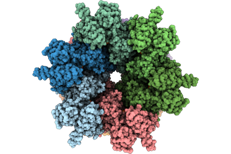 9XIR image