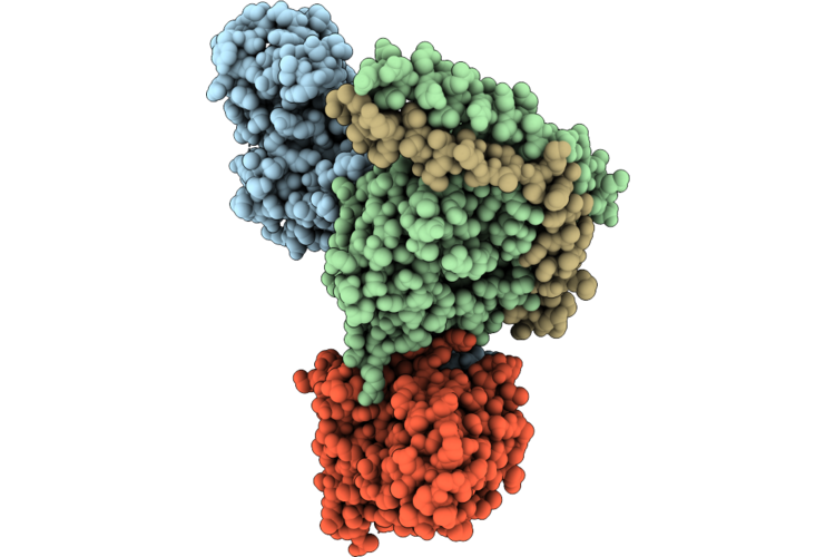 9XIX image
