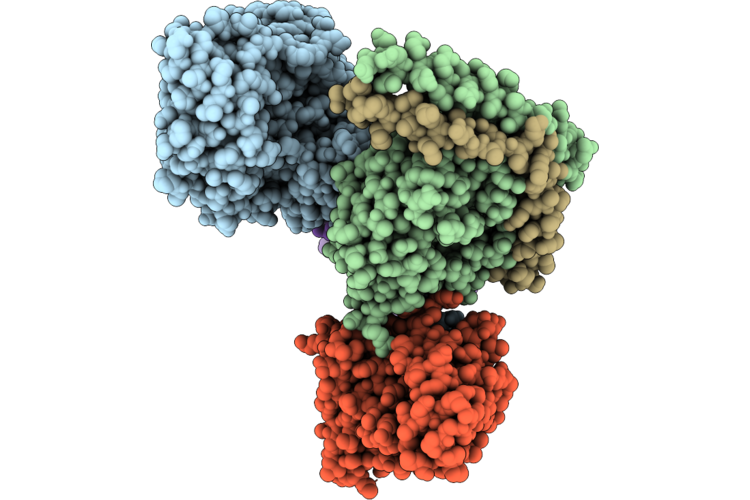 9XJ7 image