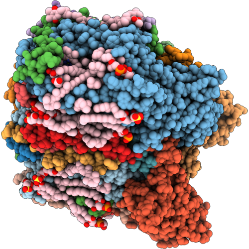 9XK3 image