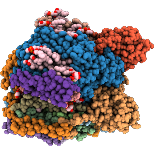 9XK4 image