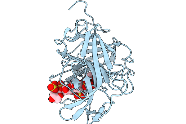 9XKT image
