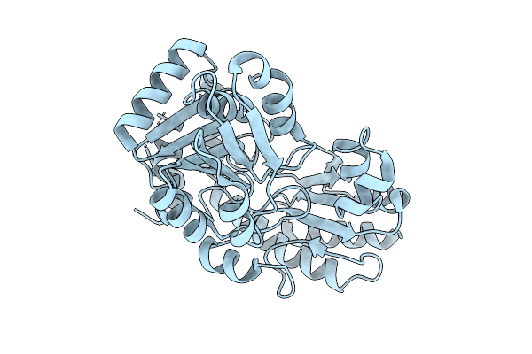 9XLU image