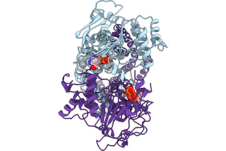 9XNP image