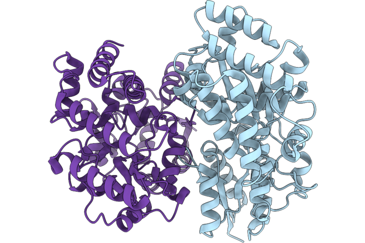 9XOR image