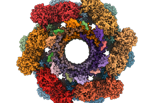 9XPF image