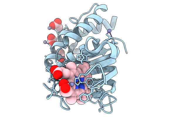 9XPI image