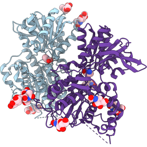 9XPK image