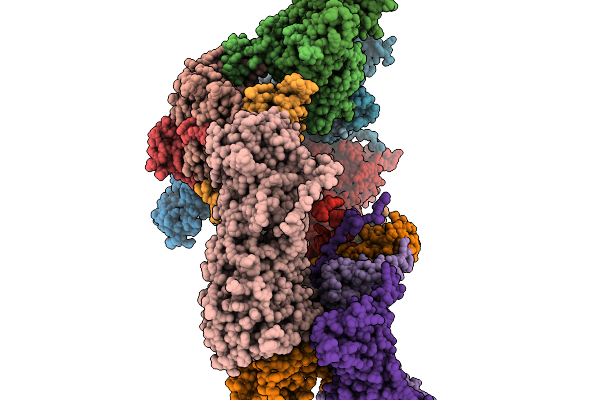 9XPS image