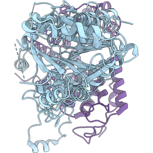 9XQM image