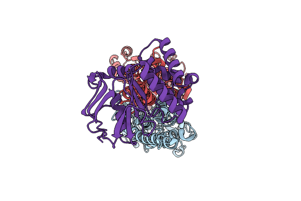 9XRO image