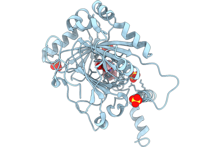 9XS3 image