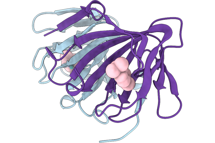 9XSA image