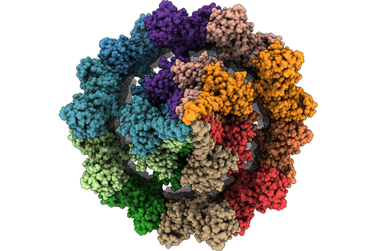 9XTB image
