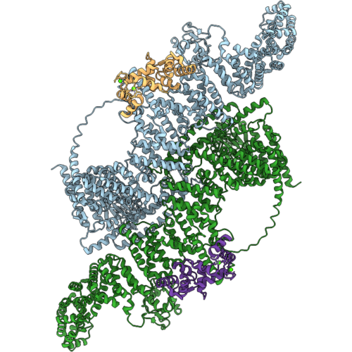 9XTI image